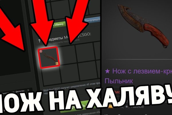 Kraken настоящая ссылка